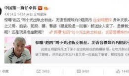 卓伟爆料白鹿视频大全,白鹿视频大全引发热议，真相究竟如何？